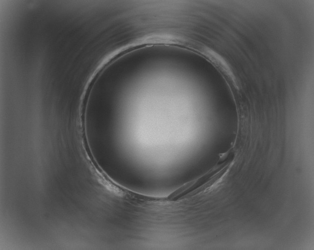 X0000073991192200608281306