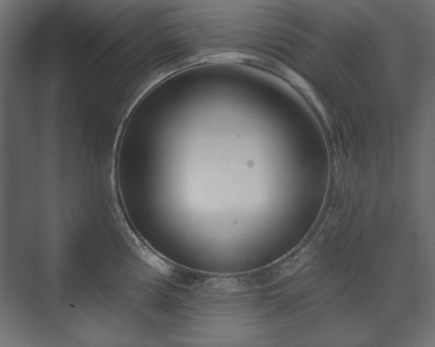 X0000073991194200608281306