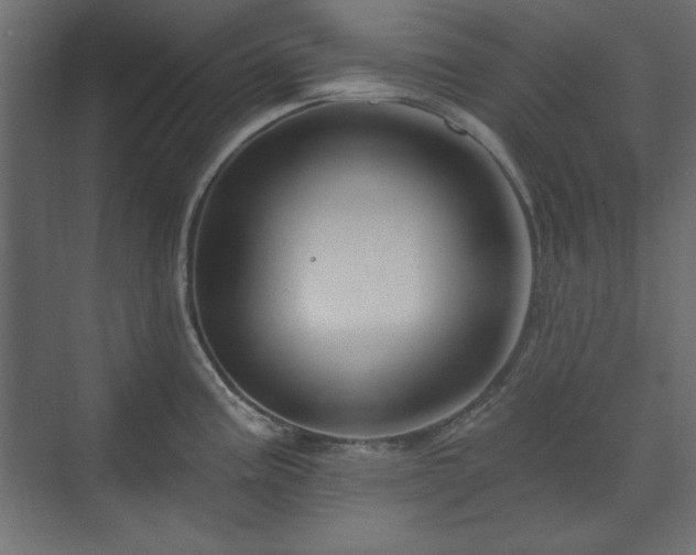 X0000073991195200608281306