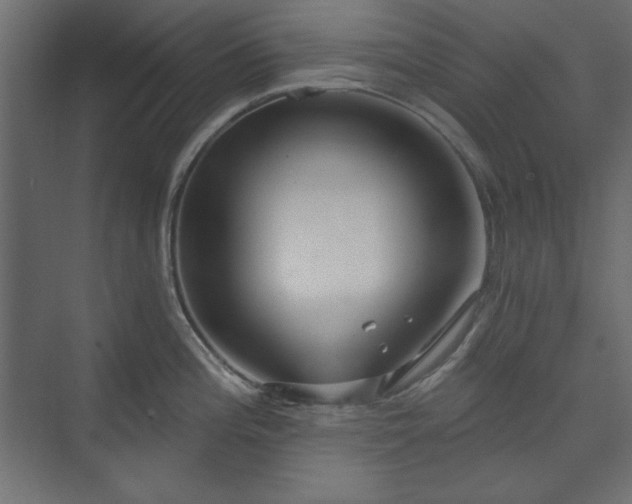 X0000073991196200608281306