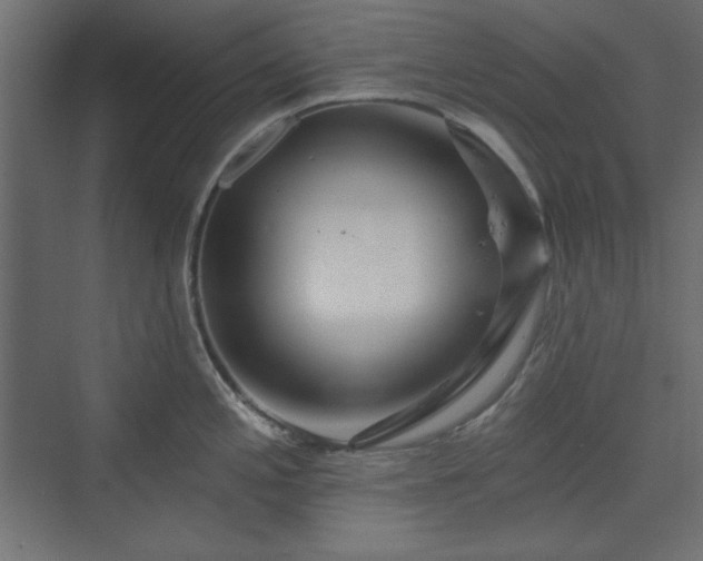 X0000073991197200608281306