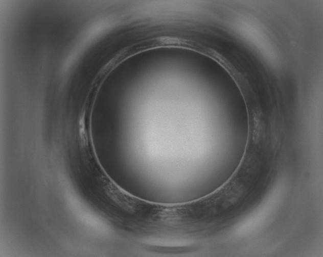 X0000073991198200608281306