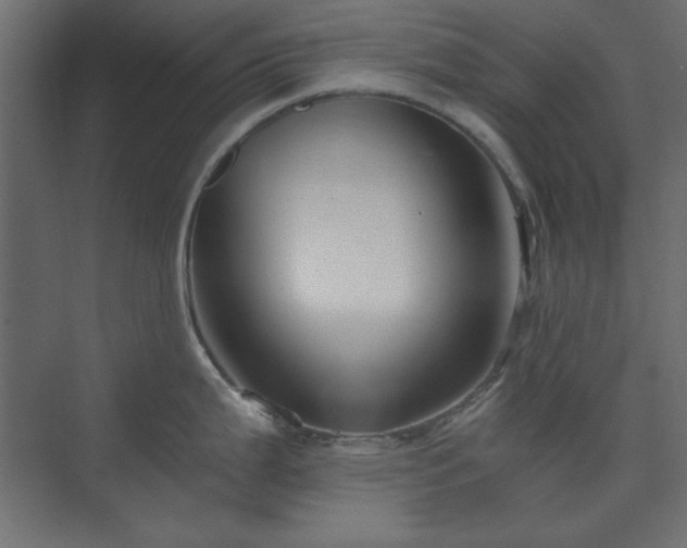 X0000073991199200608281306