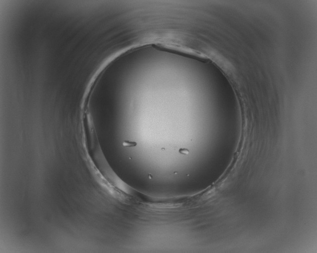 X0000073991200200608281306