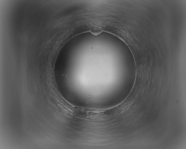 X0000073991201200608281305