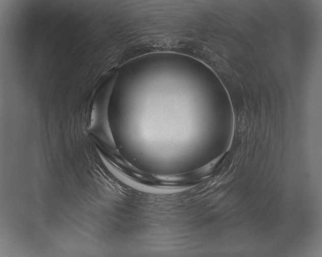 X0000073991202200608281305