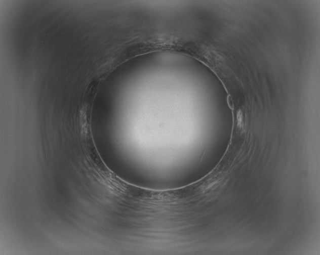 X0000073991203200608281305