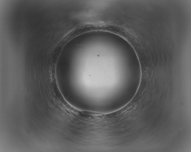 X0000073991205200608281305