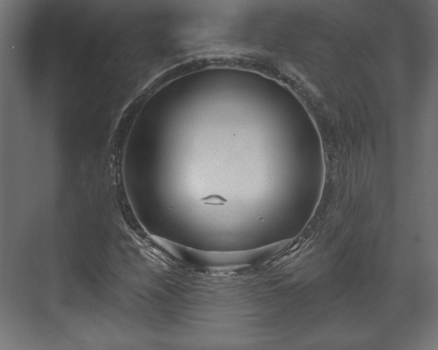 X0000073991208200608281305