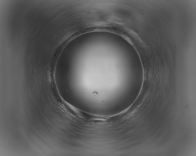 X0000073991209200608281305