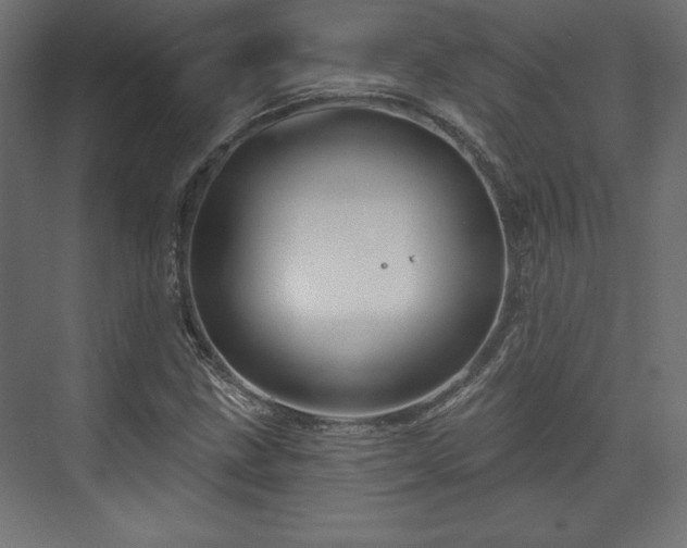 X0000073991211200608281305