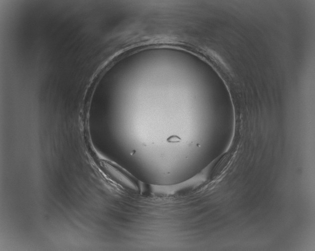 X0000073991212200608281305