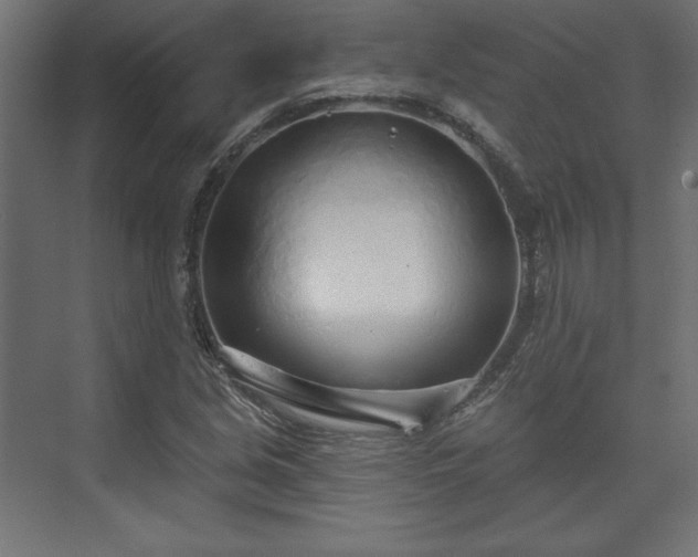 X0000073991213200608281305