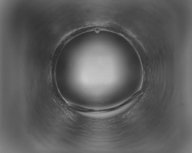 X0000073991214200608281305