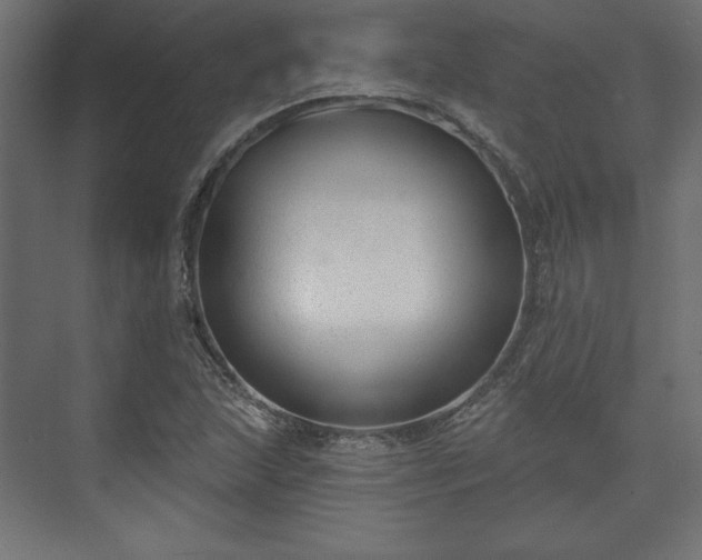 X0000073991215200608281305