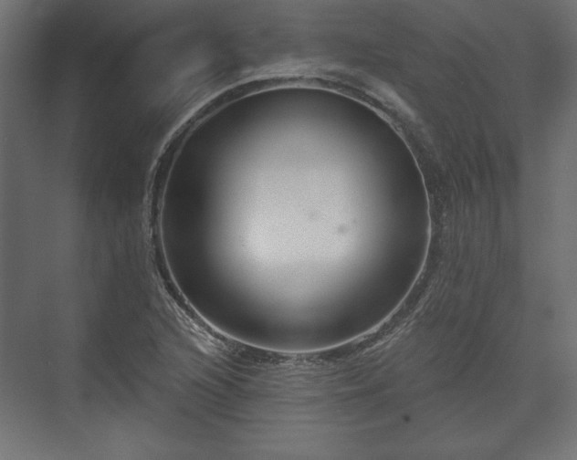 X0000073991216200608281305