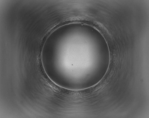 X0000073991217200608281305