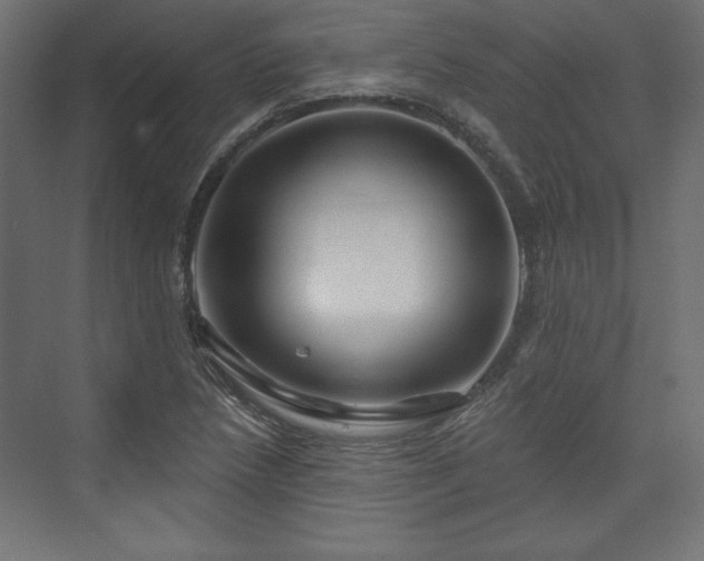 X0000073991218200608281305