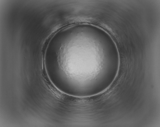 X0000073991219200608281305