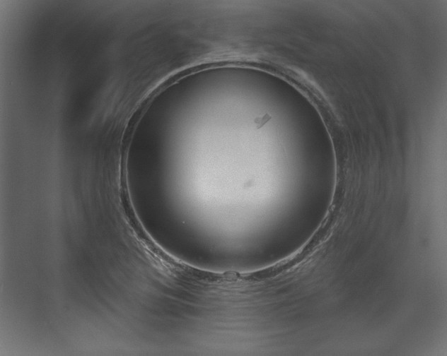 X0000073991220200608281305