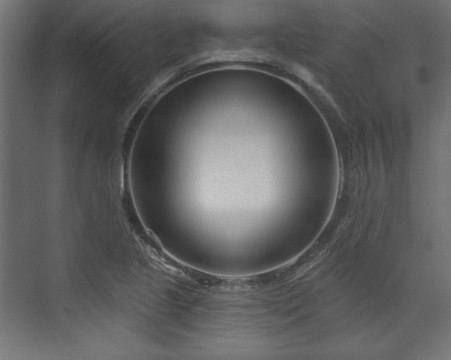 X0000073991221200608281305