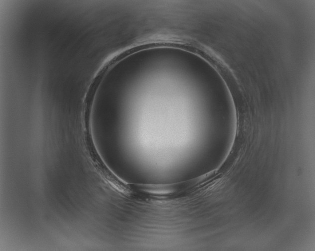 X0000073991222200608281305