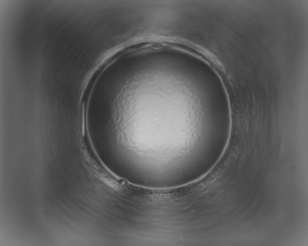 X0000073991223200608281305