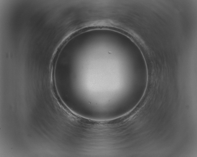 X0000073991224200608281305