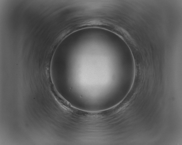 X0000073991225200608281305