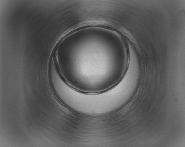 X0000073991226200608281305