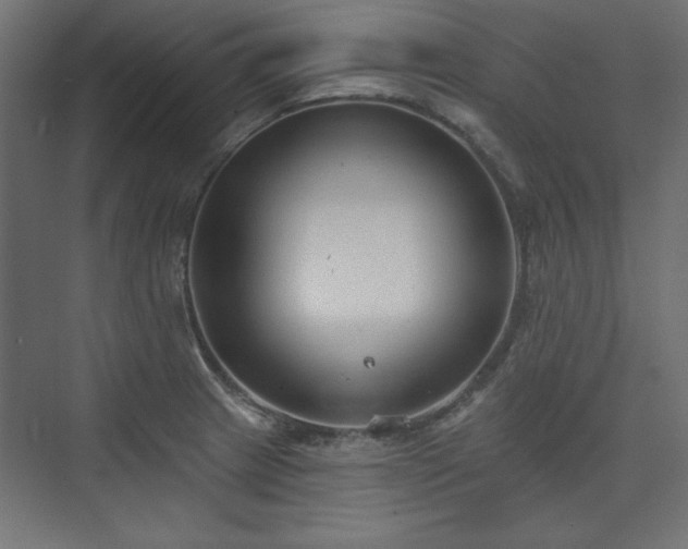 X0000073991233200608281305