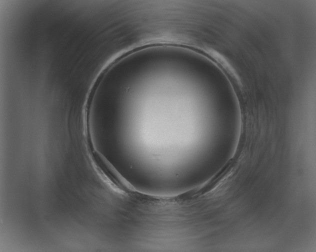 X0000073991238200608281305