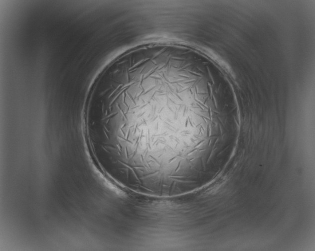 X0000073991239200608281305