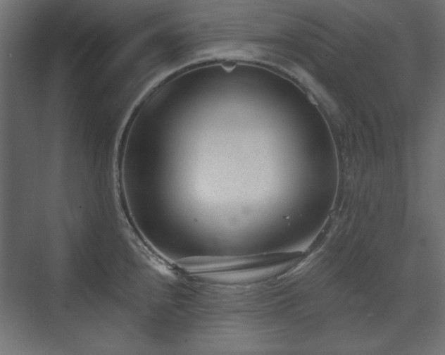 X0000073991240200608281305