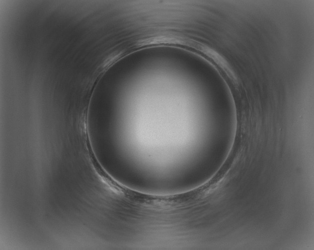 X0000073991241200608281305