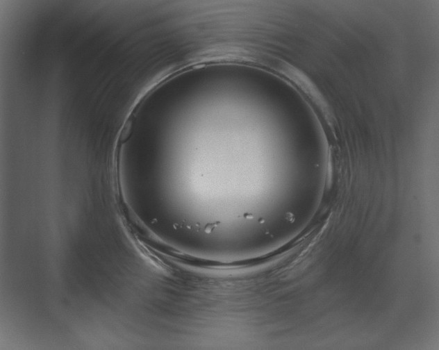 X0000073991242200608281305