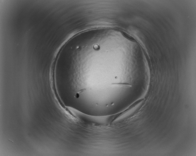 X0000073991243200608281305