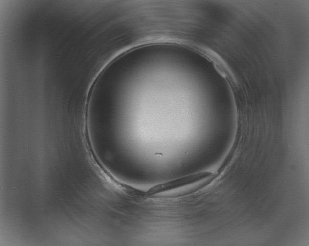 X0000073991244200608281306