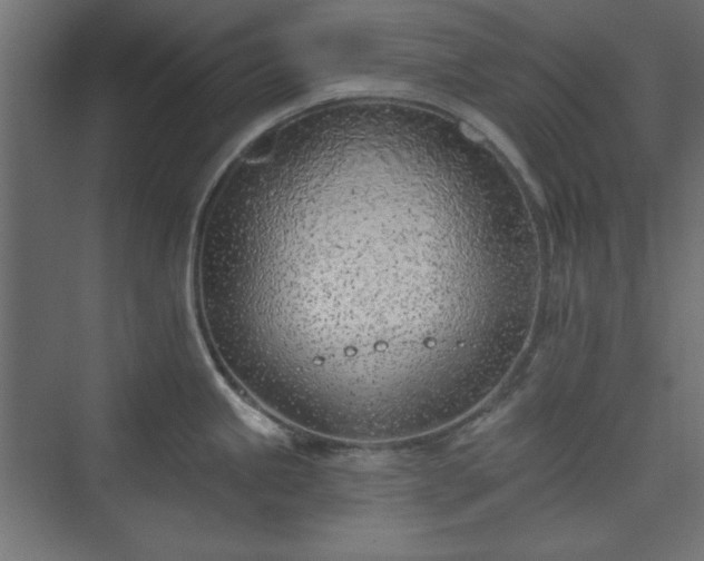 X0000073991245200608281306