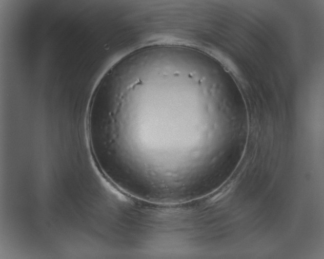 X0000073991247200608281306