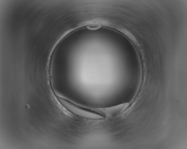 X0000073991248200608281306