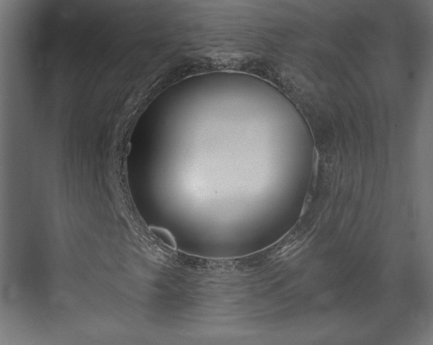 X0000073991249200608281305