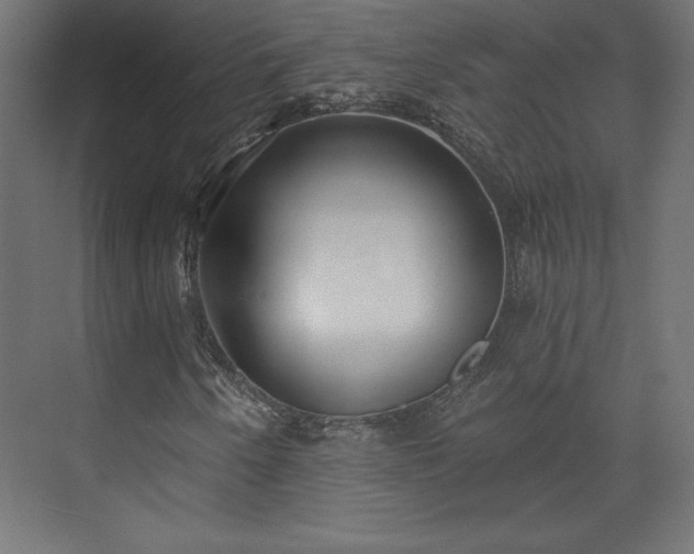 X0000073991250200608281305