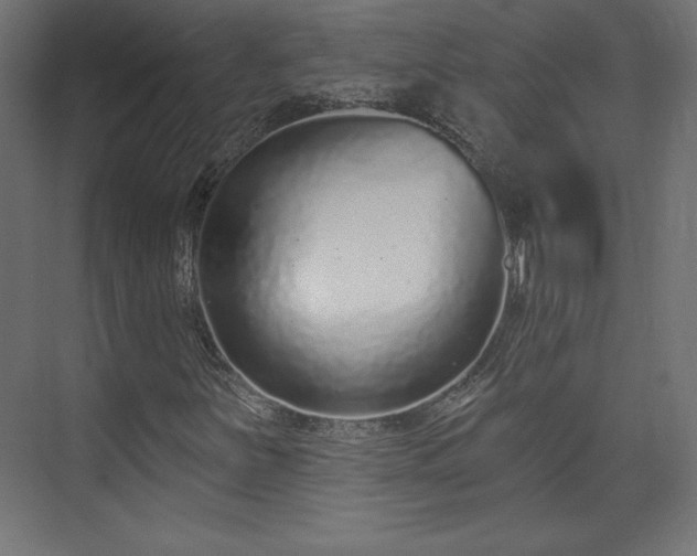 X0000073991251200608281305