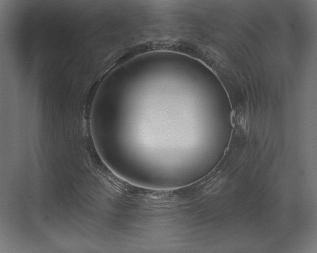 X0000073991252200608281305