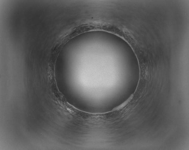 X0000073991253200608281305