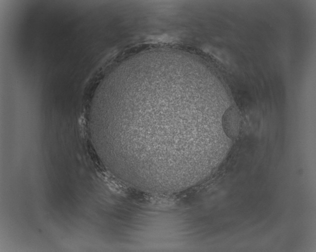 X0000073991254200608281305