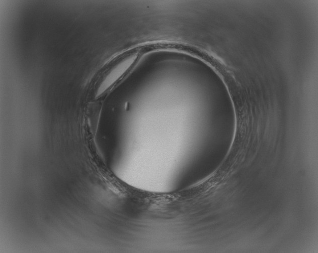 X0000073991255200608281305