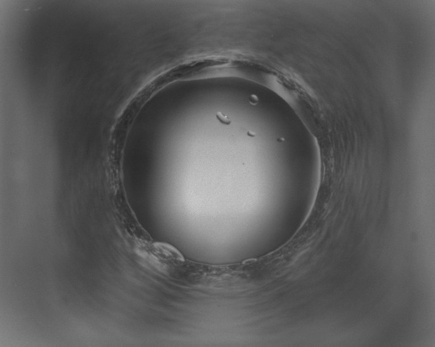 X0000073991256200608281305