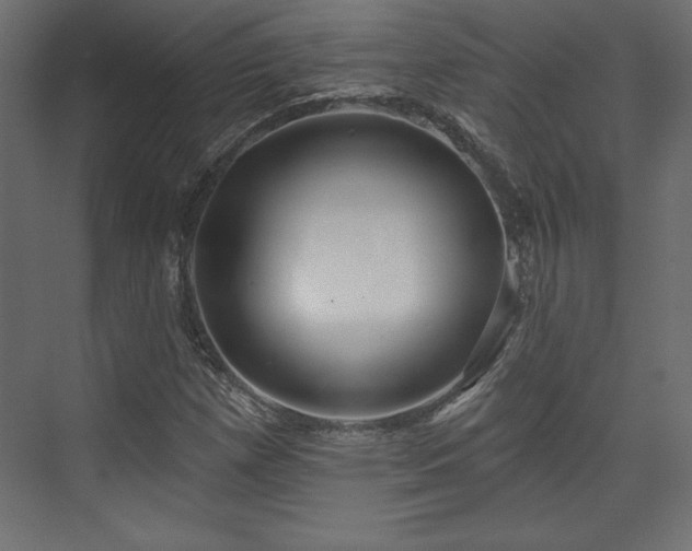 X0000073991257200608281305